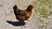 Image00008