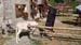 Image00009