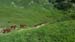 Image00010