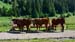 Image00016