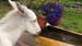 Image00021