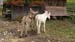Image00022