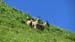Image00033