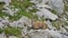 Image00051