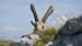 Image00066