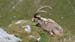 Image00068
