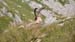 Image00070
