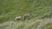 Image00072