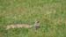 Image00082