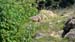Image00083