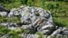 Image00084