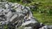Image00085