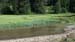 Image00101